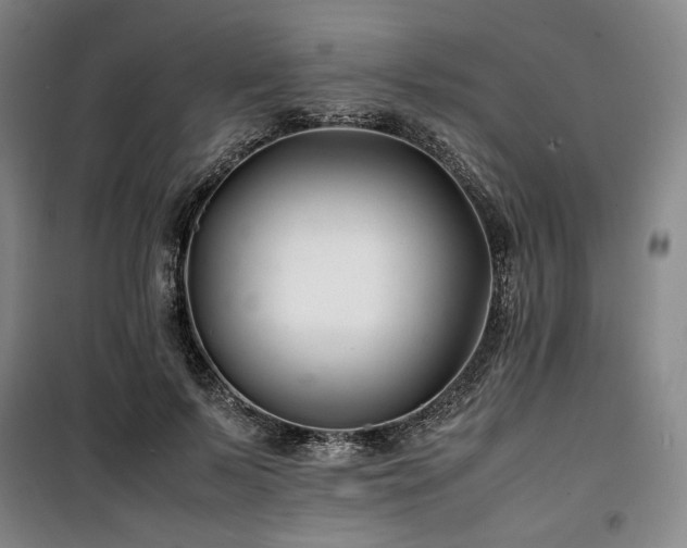 X0000100380695200806061219