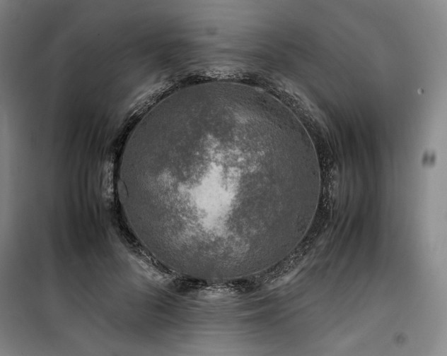 X0000100380696200806061219