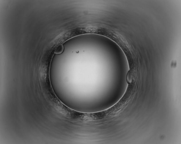 X0000100380697200806061219
