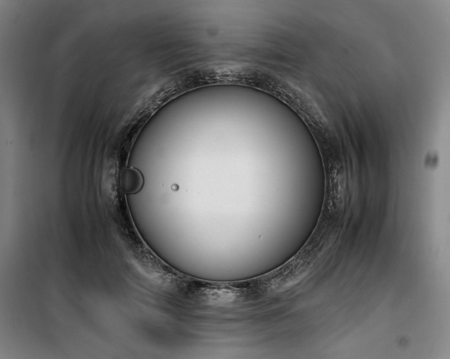 X0000100380698200806061219