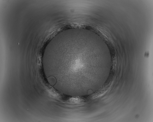 X0000100380699200806061219
