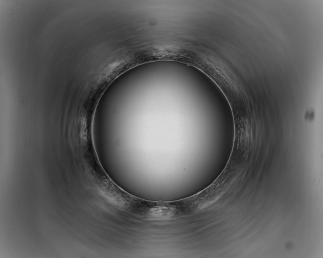 X0000100380700200806061219