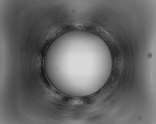 X0000100380702200806061219