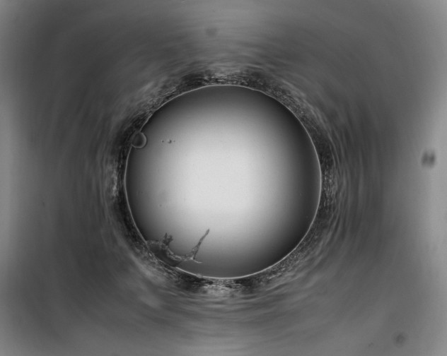 X0000100380703200806061219