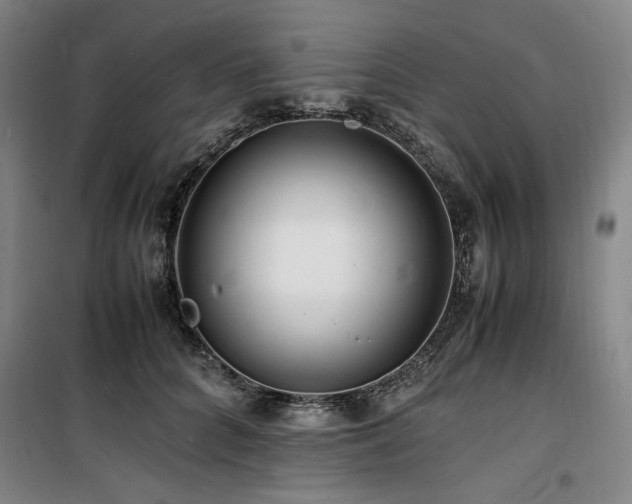 X0000100380704200806061219
