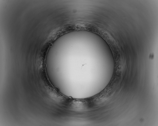 X0000100380706200806061219