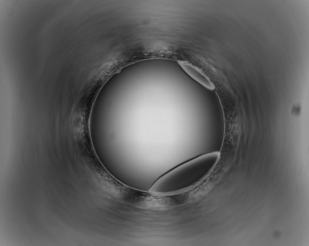 X0000100380708200806061219
