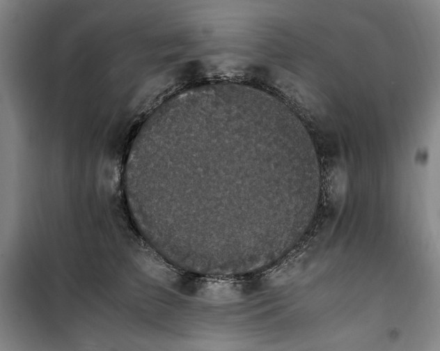 X0000100380709200806061219