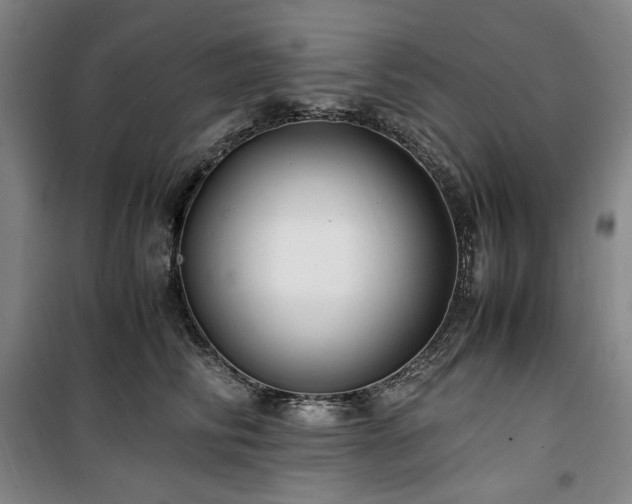X0000100380710200806061219