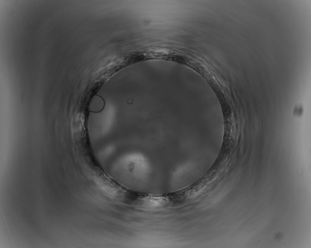 X0000100380711200806061219