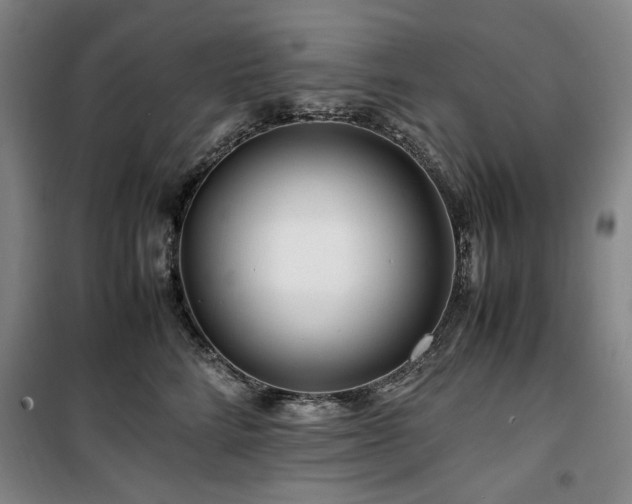 X0000100380712200806061219
