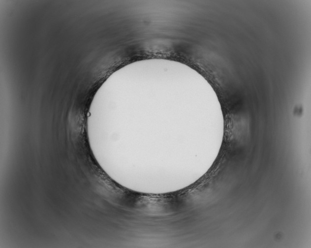X0000100380713200806061219