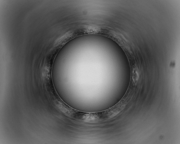 X0000100380714200806061218