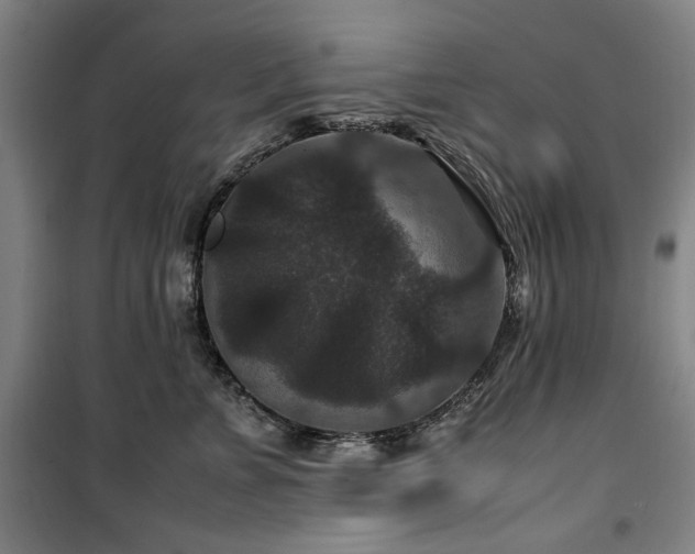 X0000100380715200806061218