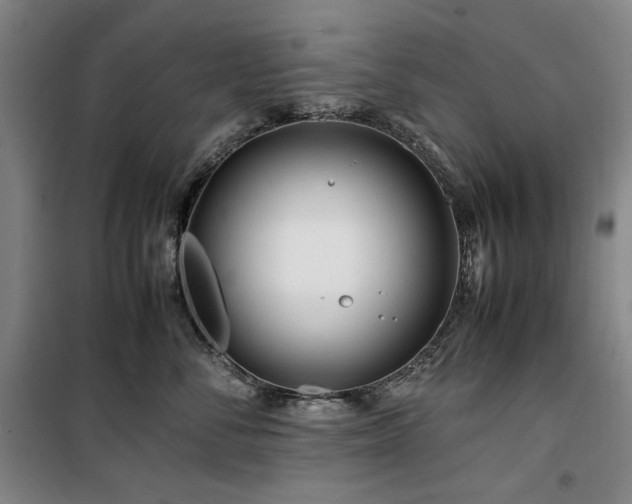 X0000100380716200806061218