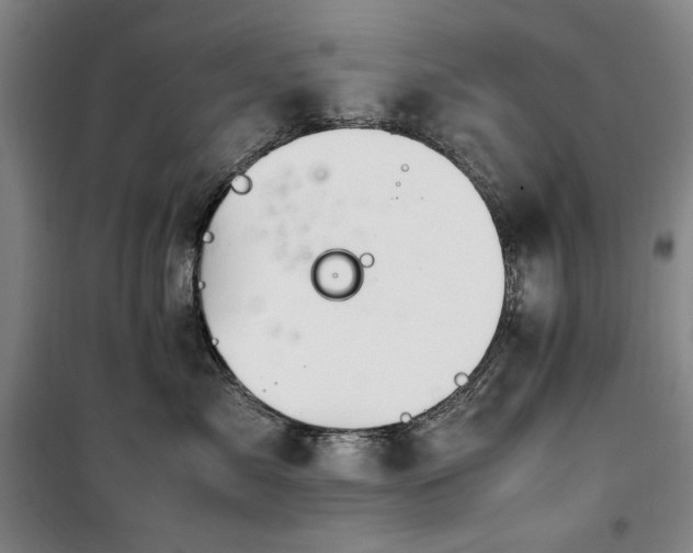 X0000100380717200806061218