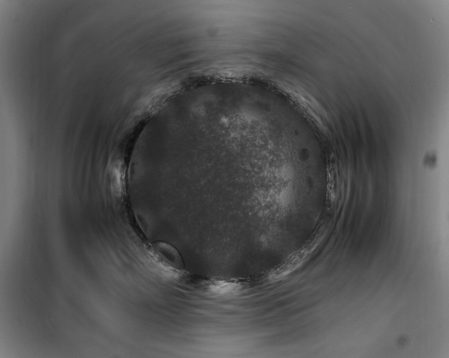 X0000100380718200806061218