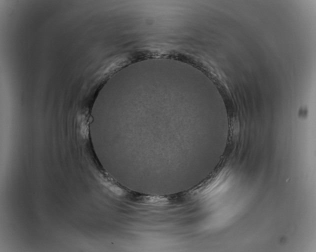 X0000100380719200806061218