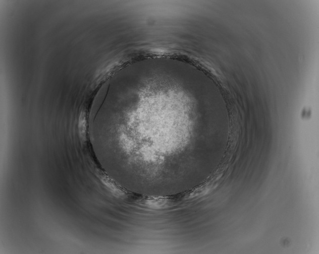 X0000100380720200806061218