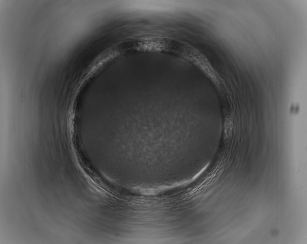 X0000100380722200806061218