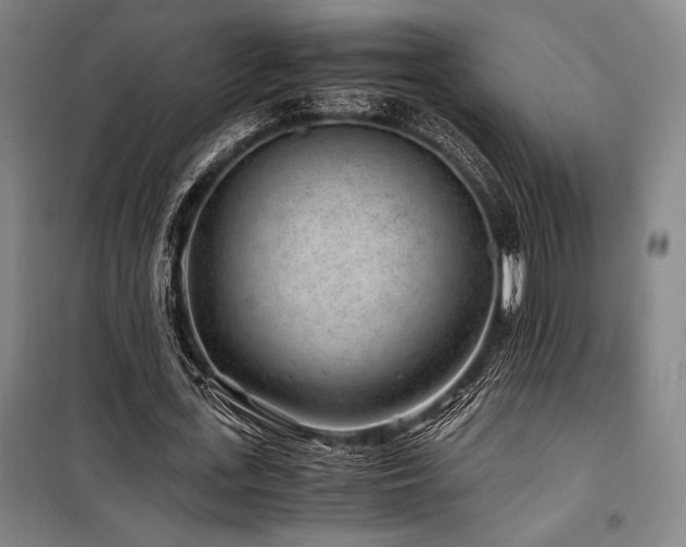 X0000100380723200806061218