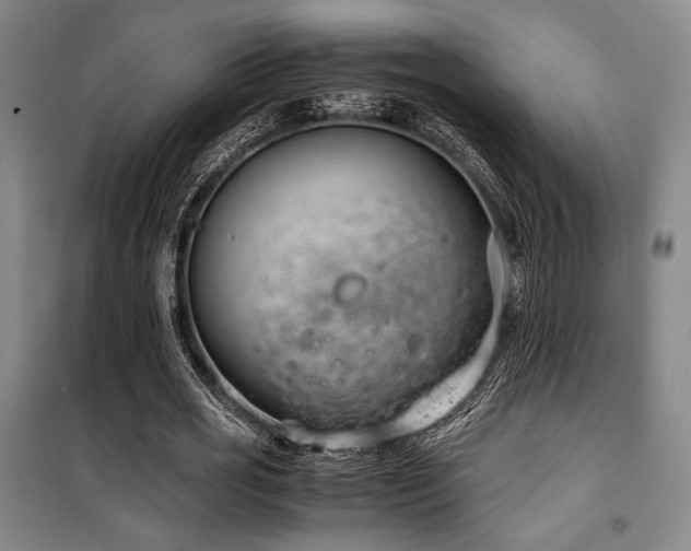 X0000100380725200806061218