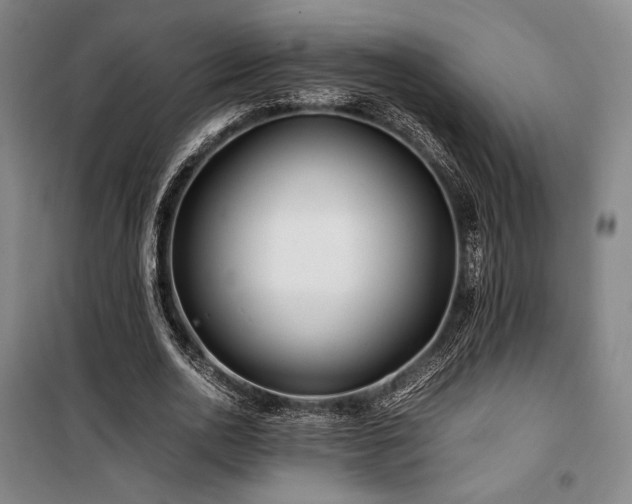 X0000100380726200806061218