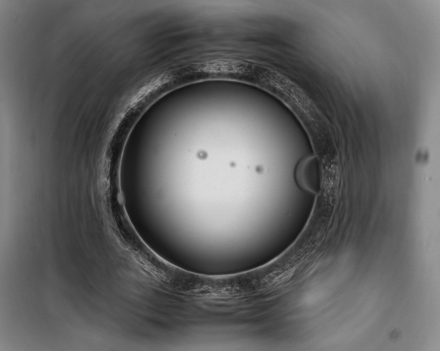 X0000100380727200806061218