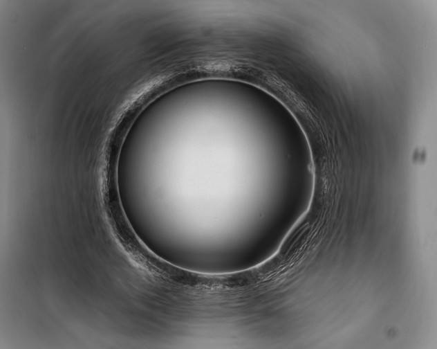 X0000100380728200806061218