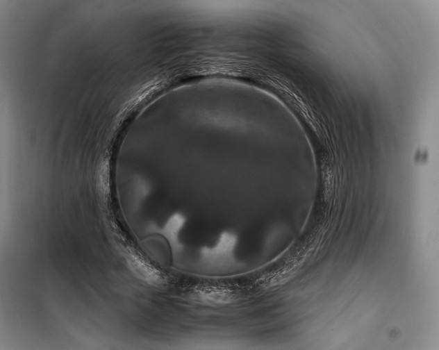 X0000100380729200806061218