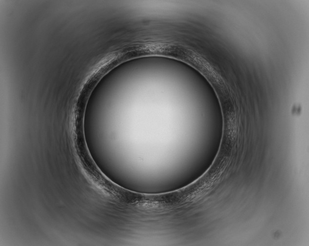 X0000100380730200806061218