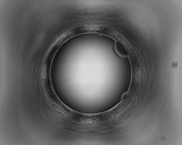 X0000100380731200806061218