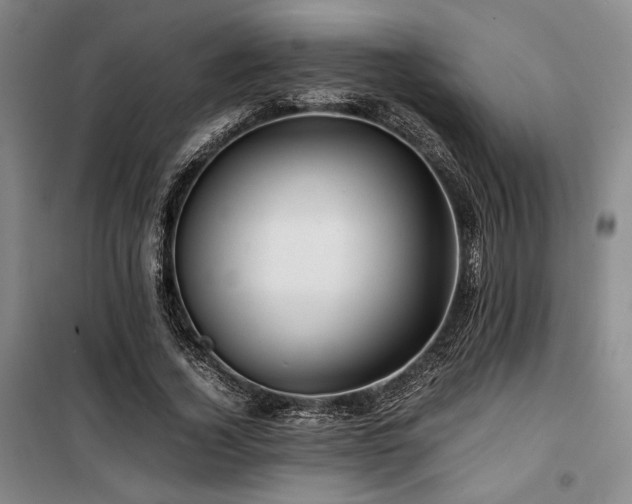 X0000100380732200806061218