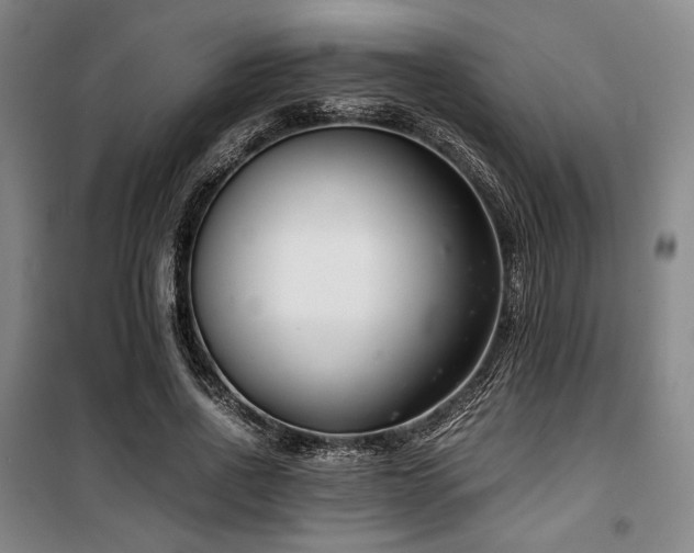 X0000100380734200806061218