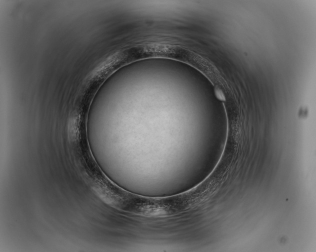 X0000100380735200806061218