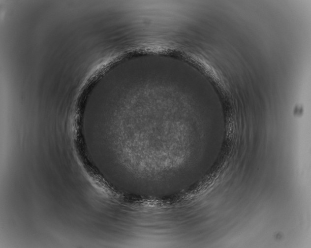 X0000100380736200806061218
