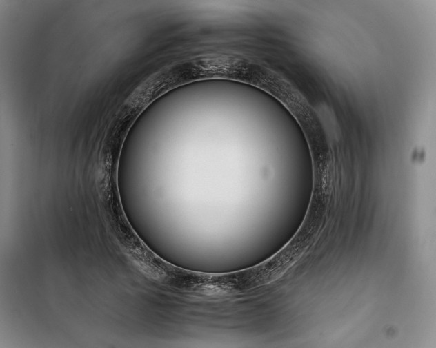 X0000100380737200806061218