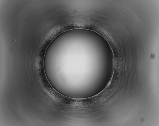 X0000100380738200806061218