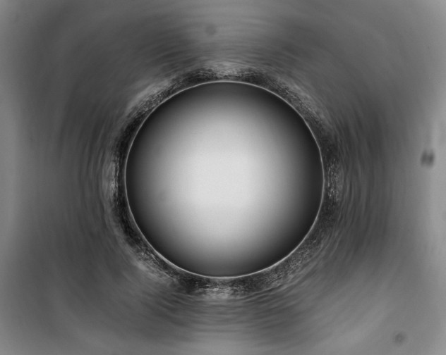 X0000100380740200806061218