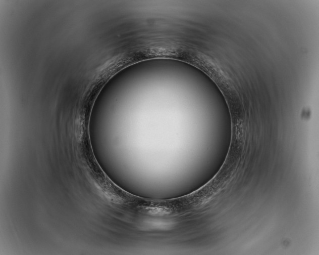 X0000100380741200806061218