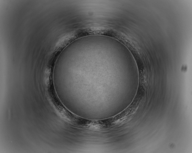 X0000100380742200806061218
