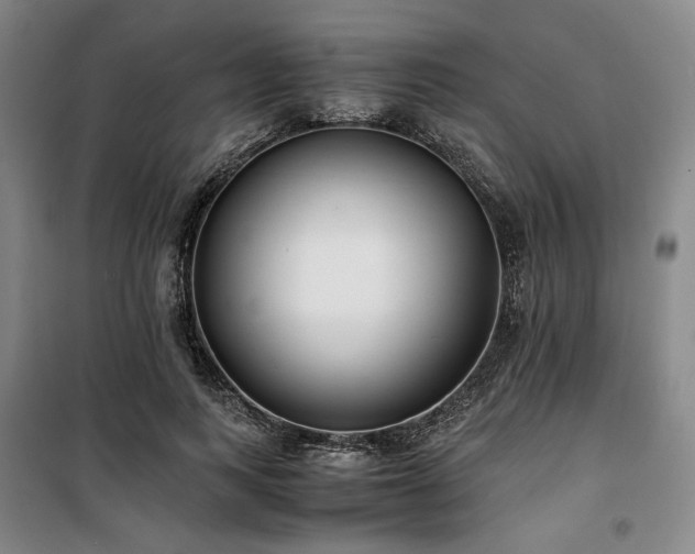 X0000100380743200806061218