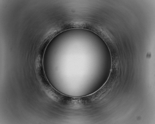 X0000100380744200806061218