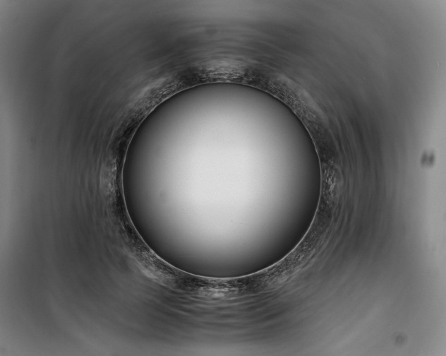 X0000100380745200806061218