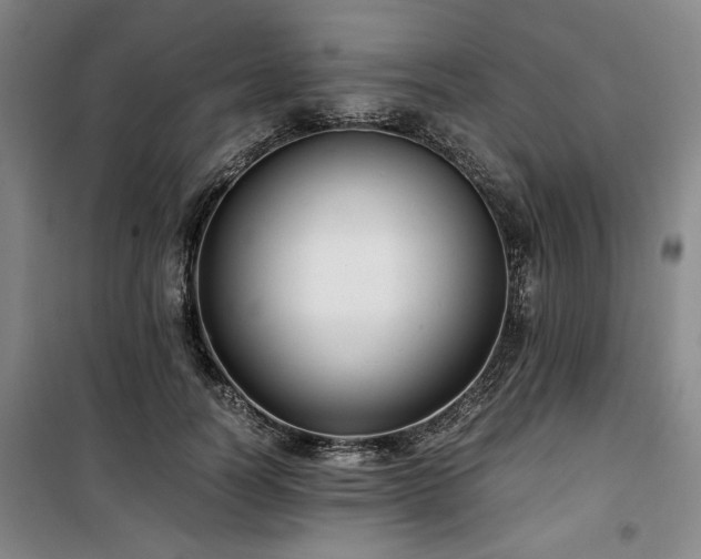 X0000100380746200806061218