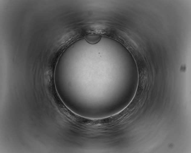 X0000100380747200806061218