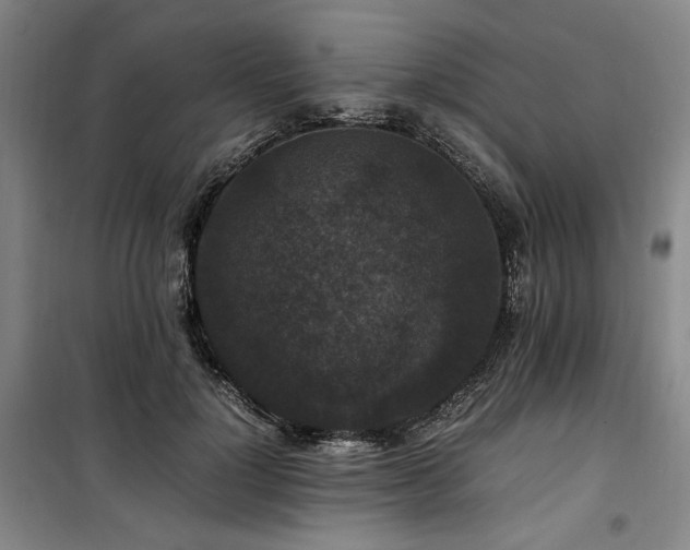 X0000100380748200806061218