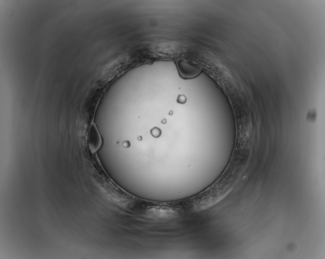 X0000100380749200806061218