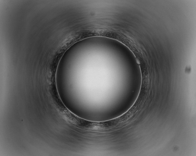 X0000100380750200806061218