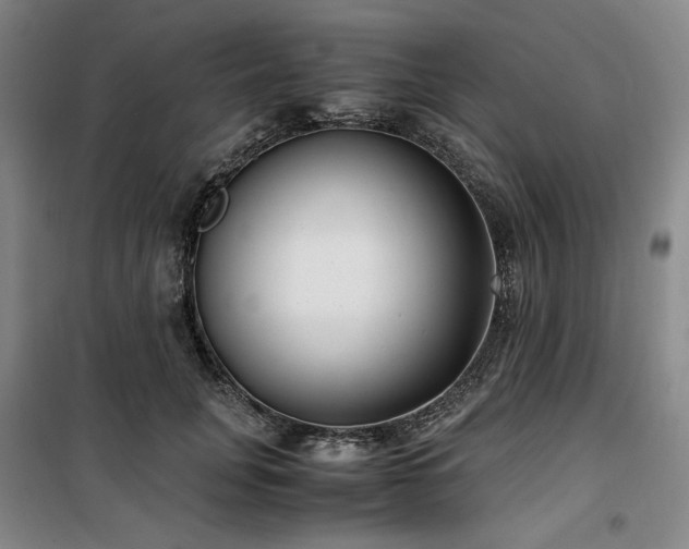 X0000100380751200806061218